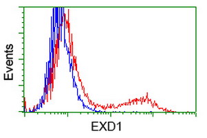 EXDL1 (EXD1) antibody