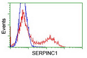Antithrombin III (SERPINC1) Mouse Monoclonal Antibody [Clone ID: OTI8D5]