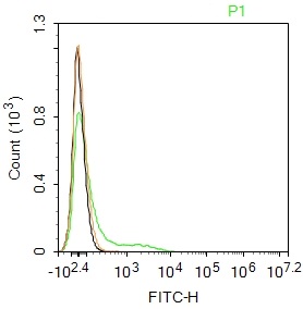 CD11c antibody (FITC)