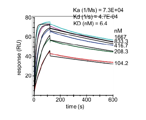 Anti-PCSK9 VHH Antibody, clone LDL7