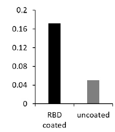 Anti-SARS-CoV-2 spike RBD VHH antibody