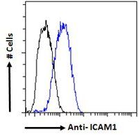 ICAM1 antibody