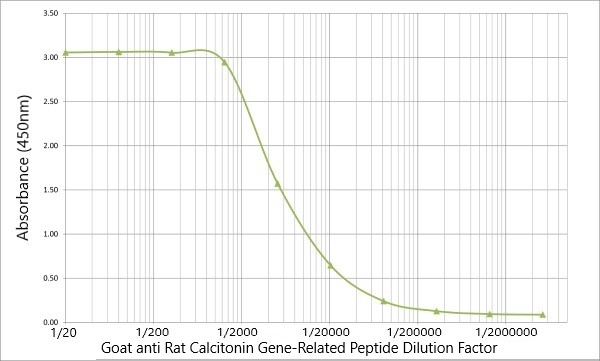 CGRP antibody