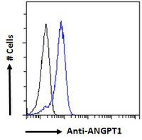 Goat anti-ANGPT1 Antibody