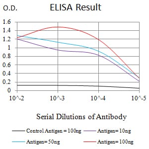 KMT2D Antibody