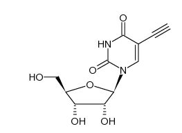 5-Ethynyl-uridine (5-EU)