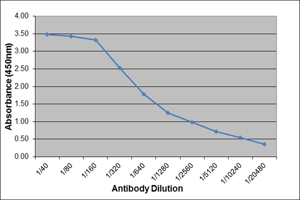 IgE antibody (HRP)