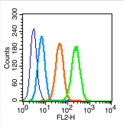 IL-1R1 Rabbit Polyclonal Antibody (PE-Cy7)