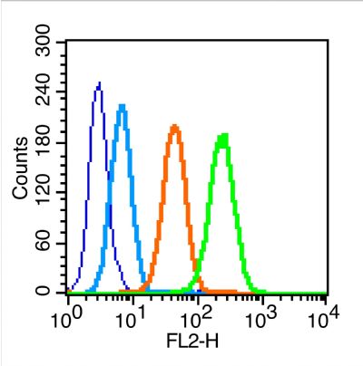 Anti-IL-1R1/PE-Cy7