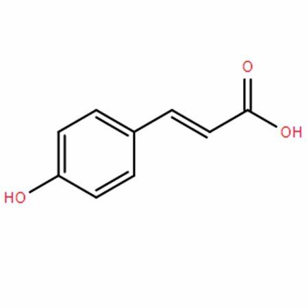 p-Hydroxy-cinnamic acid