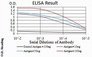 P2RY13 Antibody