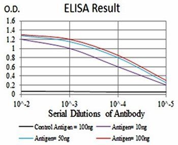 P2RY13 Antibody