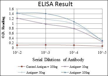 p63a Antibody