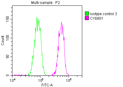 PABPN1 Recombinant Monoclonal Antibody