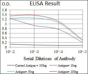 PAX3 Antibody