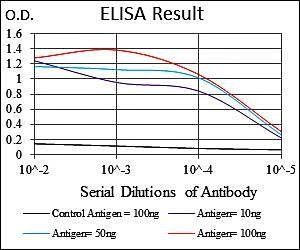 PBK Antibody