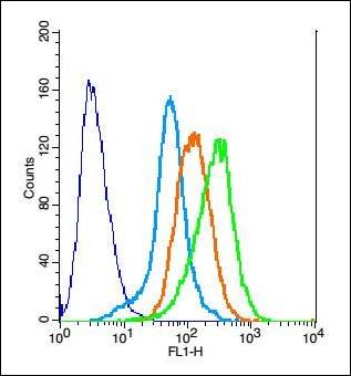 PCDH1 antibody