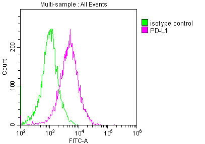 PD-L1 antibody