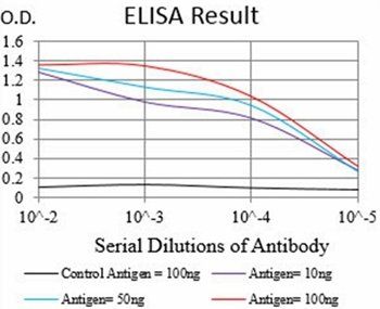 PER3 Antibody