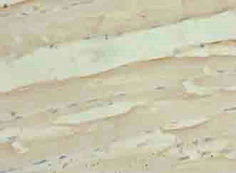 PID1 Antibody