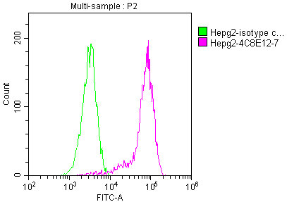 PKM Monoclonal Antibody