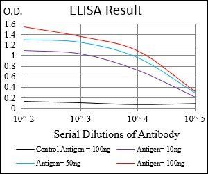 PKN1 Antibody