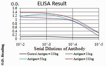 PLCG2 Antibody