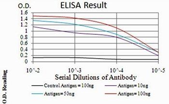 PLCG2 Antibody