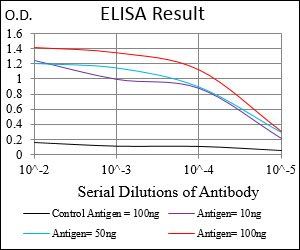 PLIN2 Antibody