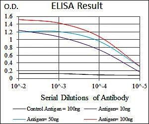 PLK1 Antibody