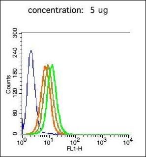 PLXNC1/CD232 Rabbit Polyclonal Antibody