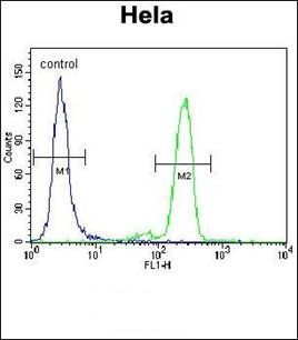 PML Sumoylation Site antibody