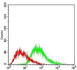 PPARGC1B Antibody