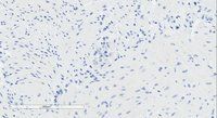 Goat anti-GPR120 Antibody