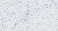 GPR120 antibody