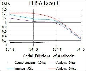 PSAP Antibody