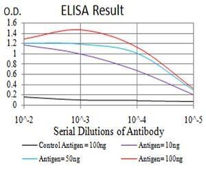 PSMC3 Antibody