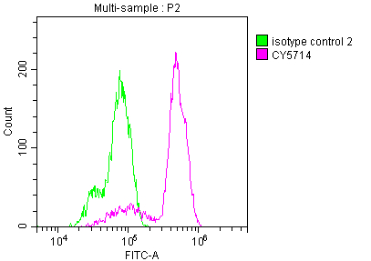 PTGS1 Recombinant Monoclonal Antibody