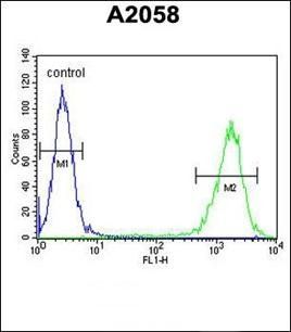 PTMS antibody