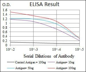 PTPN11 Antibody