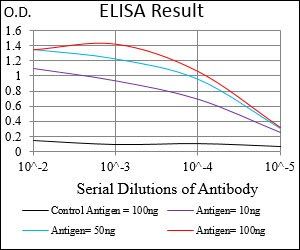 PTPN1 Antibody