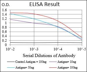 PTPRC Antibody