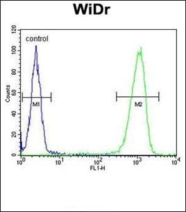 PXMP3 antibody