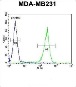 RAB11FIP2 antibody