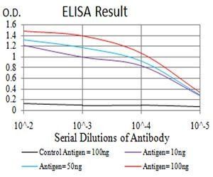 Rab6b Antibody