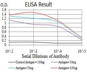 Rab6b Antibody