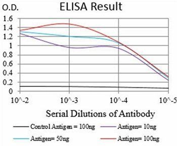 RAP1GAP Antibody