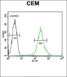RCL antibody