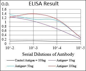 Ring1 Antibody