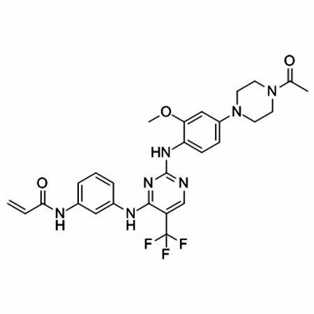 Rociletinib (CO-1686)